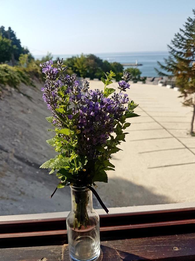 Family Hotel Venera Kavarna Eksteriør bilde